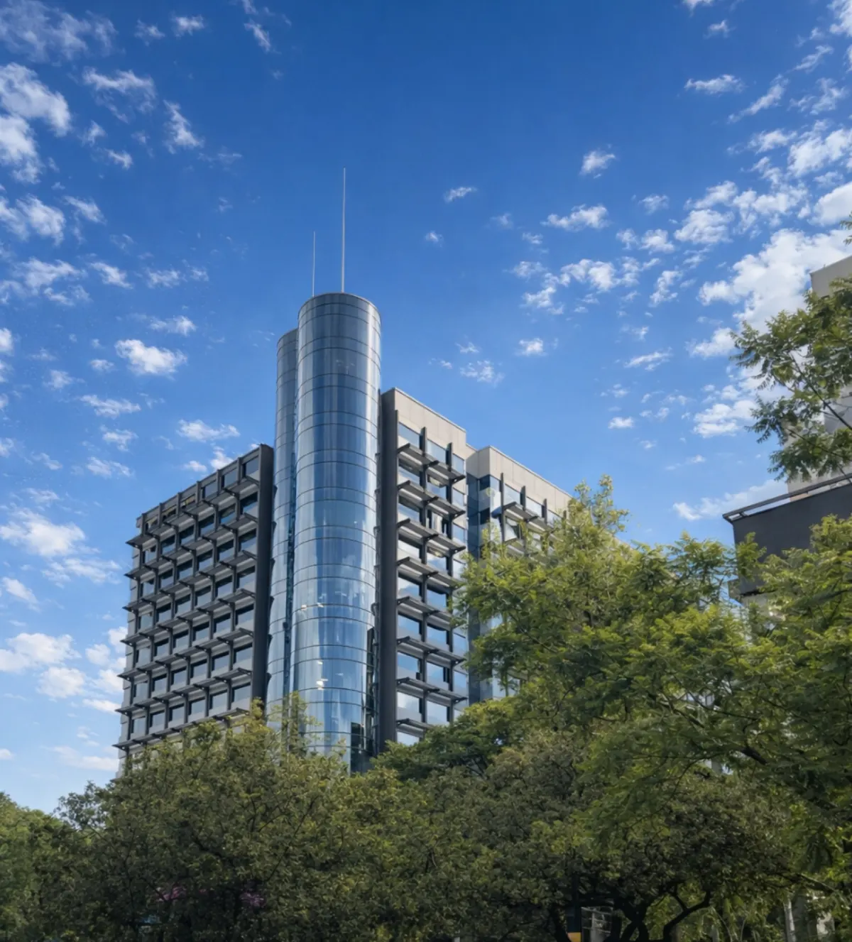 IMECAF en Polanco, Ciudad de México